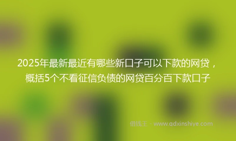 2025年最新最近有哪些新口子可以下款的网贷，概括5个不看征信负债的网贷百分百下款口子