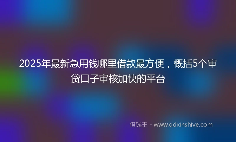 2025年最新急用钱哪里借款最方便，概括5个审贷口子审核加快的平台