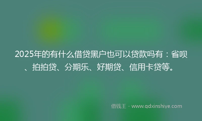 2025年的有什么借贷黑户也可以贷款吗有：省呗、拍拍贷、分期乐、好期贷、信用卡贷等。