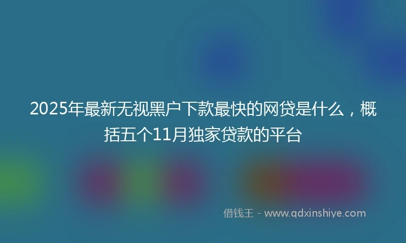 2025年最新无视黑户下款最快的网贷是什么，概括五个11月独家贷款的平台