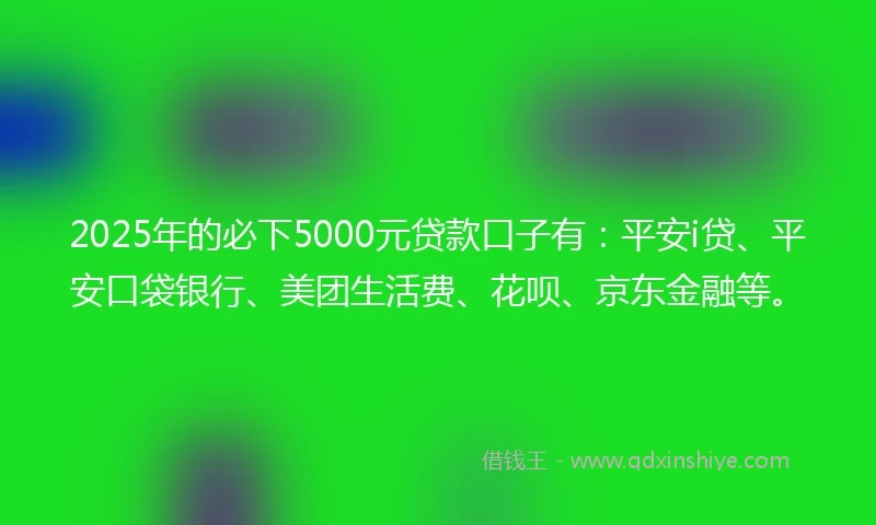 2025年的必下5000元贷款口子有：平安i贷、平安口袋银行、美团生活费、花呗、京东金融等。