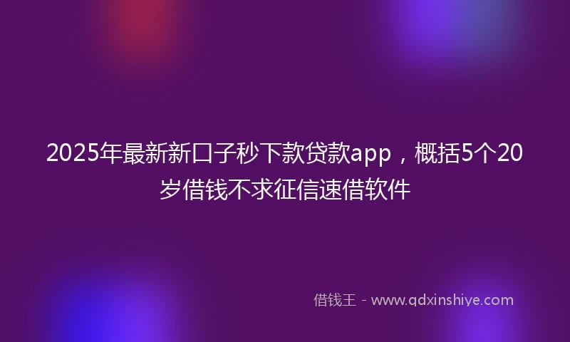 2025年最新新口子秒下款贷款app，概括5个20岁借钱不求征信速借软件