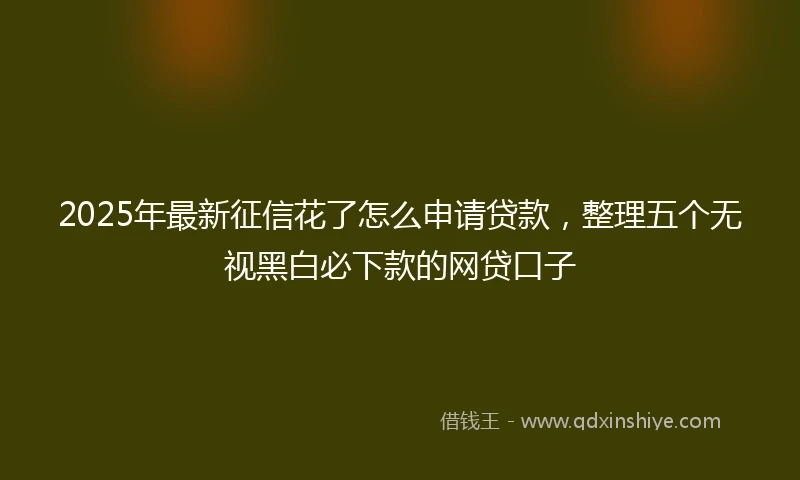 2025年最新征信花了怎么申请贷款，整理五个无视黑白必下款的网贷口子