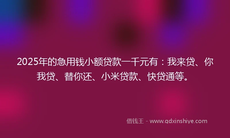 2025年的急用钱小额贷款一千元有：我来贷、你我贷、替你还、小米贷款、快贷通等。