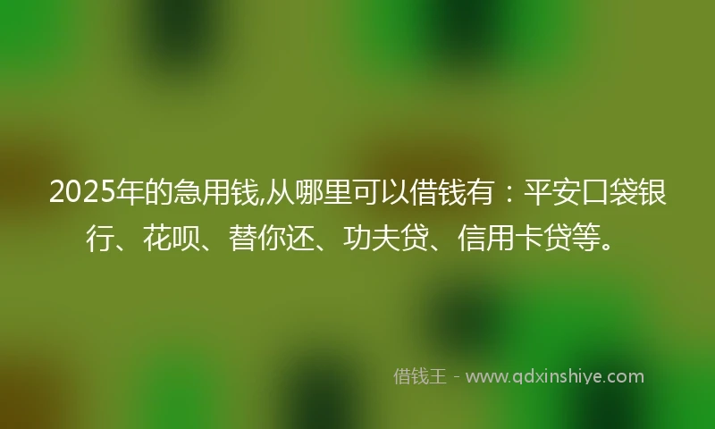 2025年的急用钱,从哪里可以借钱有：平安口袋银行、花呗、替你还、功夫贷、信用卡贷等。