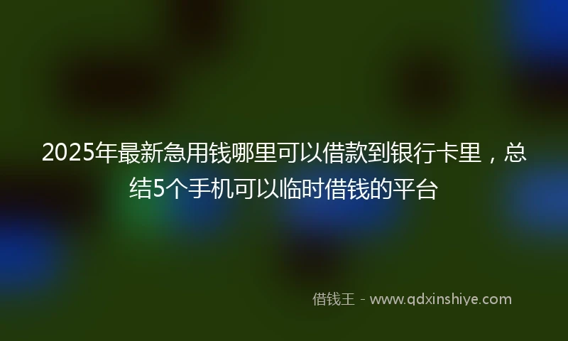 2025年最新急用钱哪里可以借款到银行卡里，总结5个手机可以临时借钱的平台