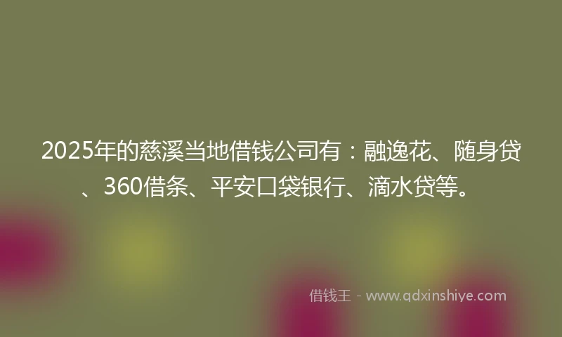 2025年的慈溪当地借钱公司有：融逸花、随身贷、360借条、平安口袋银行、滴水贷等。
