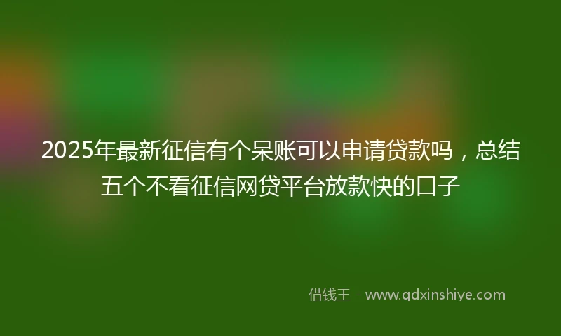 2025年最新征信有个呆账可以申请贷款吗,总结五个不看征信网贷平台放款快的口子