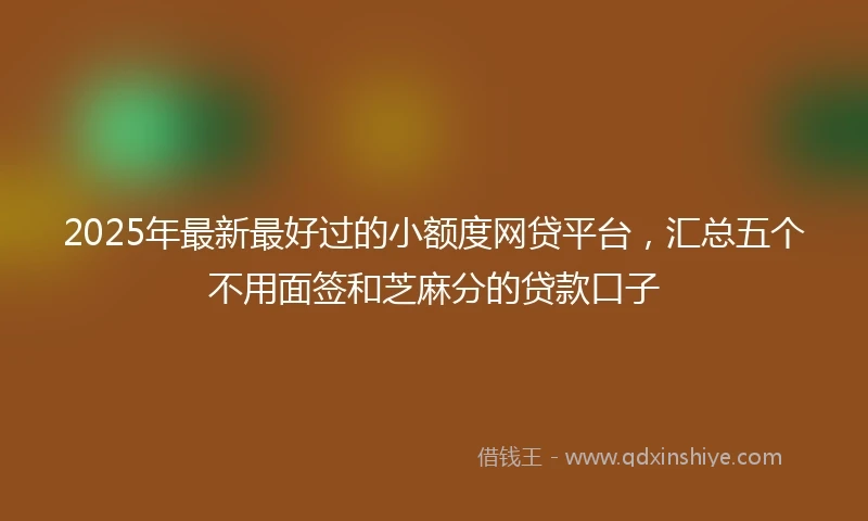 2025年最新最好过的小额度网贷平台，汇总五个不用面签和芝麻分的贷款口子
