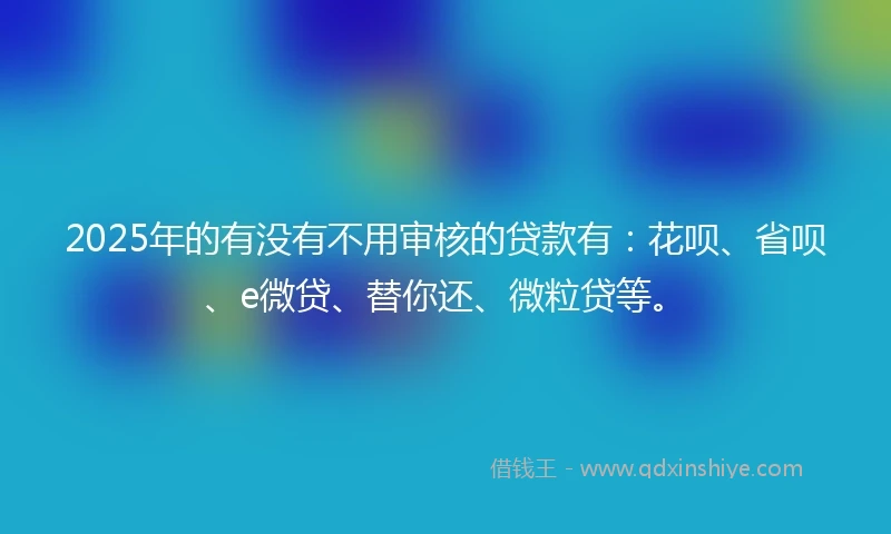 2025年的有没有不用审核的贷款有：花呗、省呗、e微贷、替你还、微粒贷等。