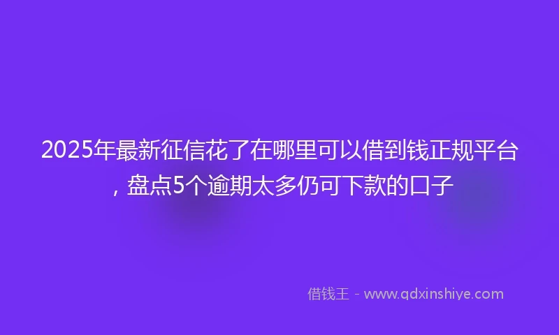 2025年最新征信花了在哪里可以借到钱正规平台，盘点5个逾期太多仍可下款的口子