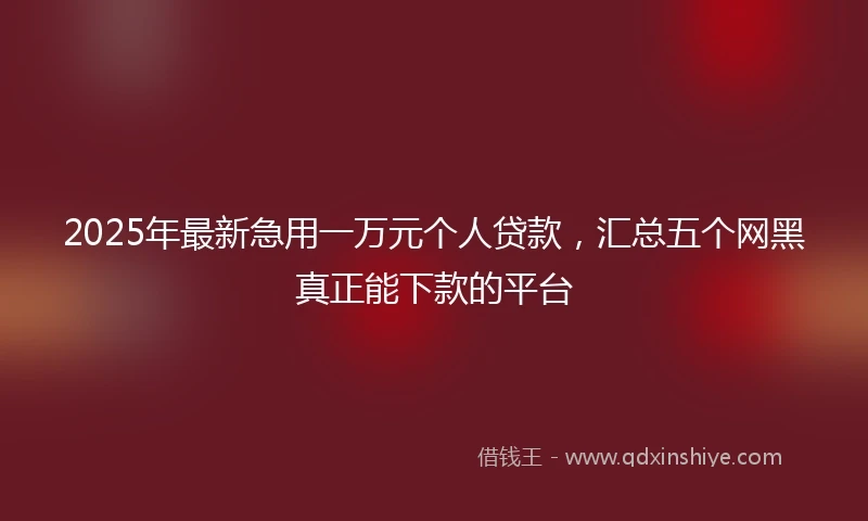 2025年最新急用一万元个人贷款，汇总五个网黑真正能下款的平台