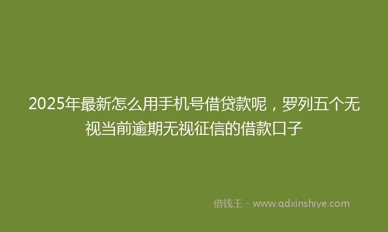 2025年最新怎么用手机号借贷款呢，罗列五个无视当前逾期无视征信的借款口子