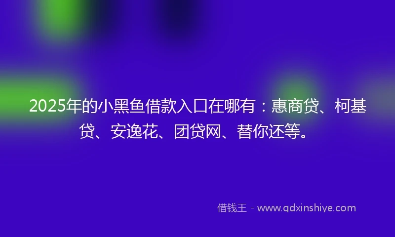 2025年的小黑鱼借款入口在哪有:惠商贷、柯基贷、安逸花、团贷网、替你还等。