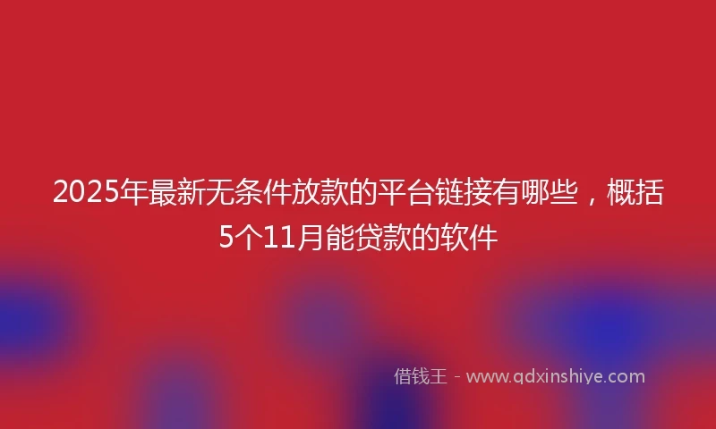 2025年最新无条件放款的平台链接有哪些，概括5个11月能贷款的软件
