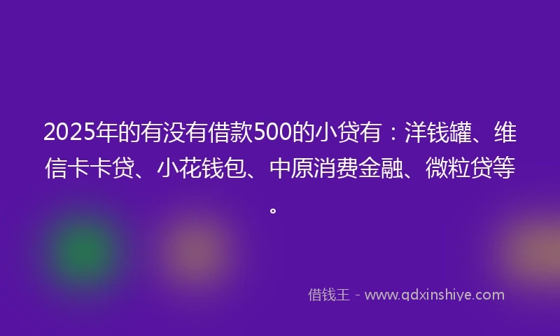 2025年的有没有借款500的小贷有：洋钱罐、维信卡卡贷、小花钱包、中原消费金融、微粒贷等。