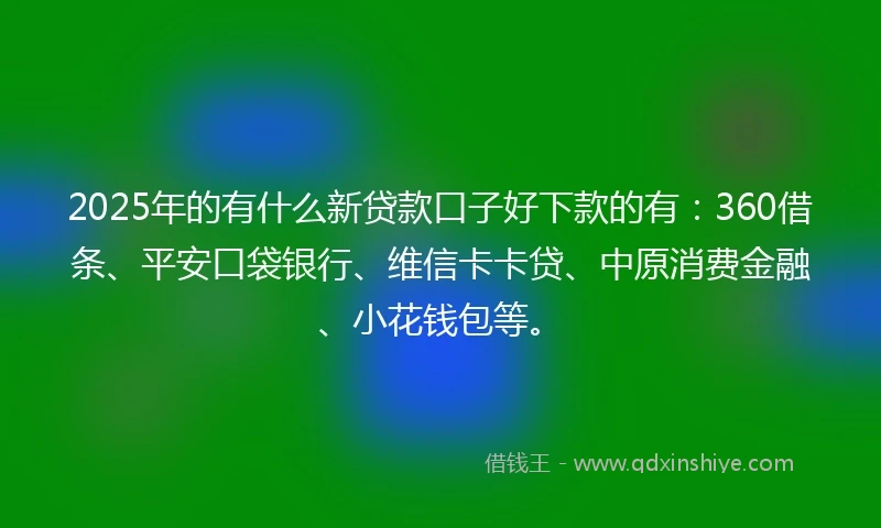 2025年的有什么新贷款口子好下款的有：360借条、平安口袋银行、维信卡卡贷、中原消费金融、小花钱包等。