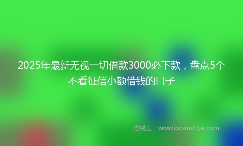 2025年最新无视一切借款3000必下款，盘点5个不看征信小额借钱的口子