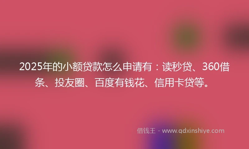 2025年的小额贷款怎么申请有：读秒贷、360借条、投友圈、百度有钱花、信用卡贷等。