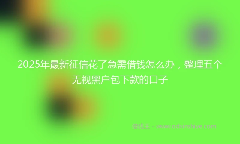 2025年最新征信花了急需借钱怎么办，整理五个无视黑户包下款的口子