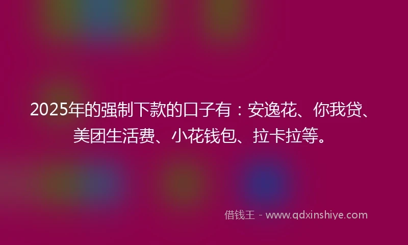 2025年的强制下款的口子有：安逸花、你我贷、美团生活费、小花钱包、拉卡拉等。