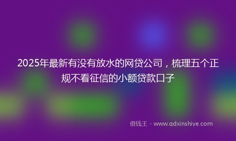 2025年最新有没有放水的网贷公司，梳理五个正规不看征信的小额贷款口子