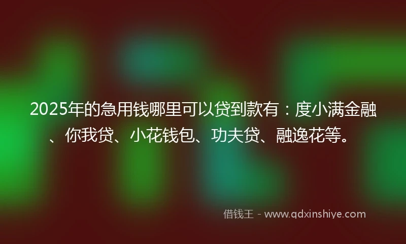 2025年的急用钱哪里可以贷到款有：度小满金融、你我贷、小花钱包、功夫贷、融逸花等。