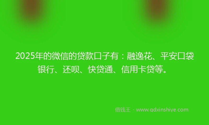2025年的微信的贷款口子有：融逸花、平安口袋银行、还呗、快贷通、信用卡贷等。