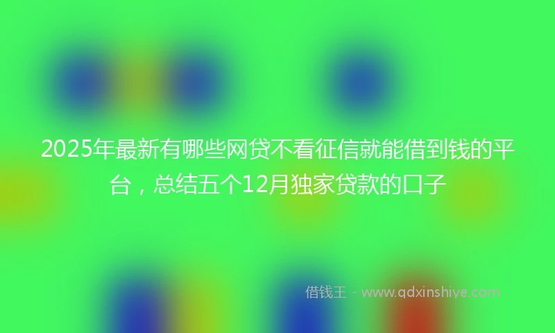 2025年最新有哪些网贷不看征信就能借到钱的平台，总结五个12月独家贷款的口子