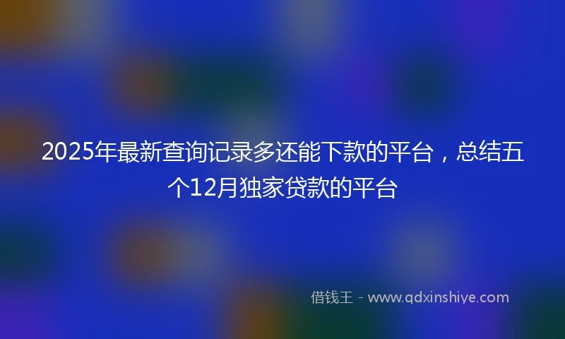 2025年最新查询记录多还能下款的平台，总结五个12月独家贷款的平台
