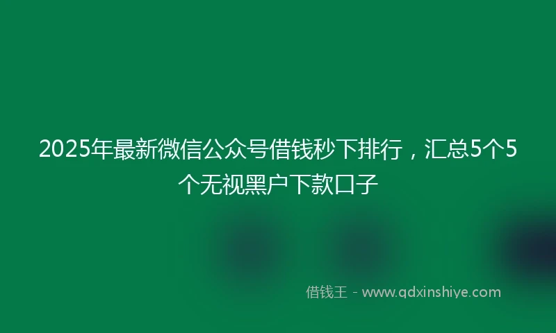 2025年最新微信公众号借钱秒下排行，汇总5个5个无视黑户下款口子