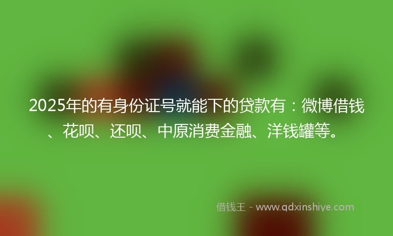 2025年的有身份证号就能下的贷款有：微博借钱、花呗、还呗、中原消费金融、洋钱罐等。
