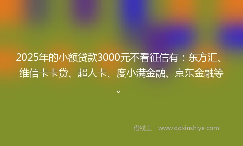 2025年的小额贷款3000元不看征信有：东方汇、维信卡卡贷、超人卡、度小满金融、京东金融等。
