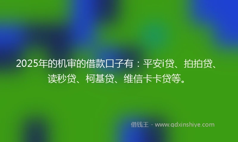 2025年的机审的借款口子有：平安i贷、拍拍贷、读秒贷、柯基贷、维信卡卡贷等。