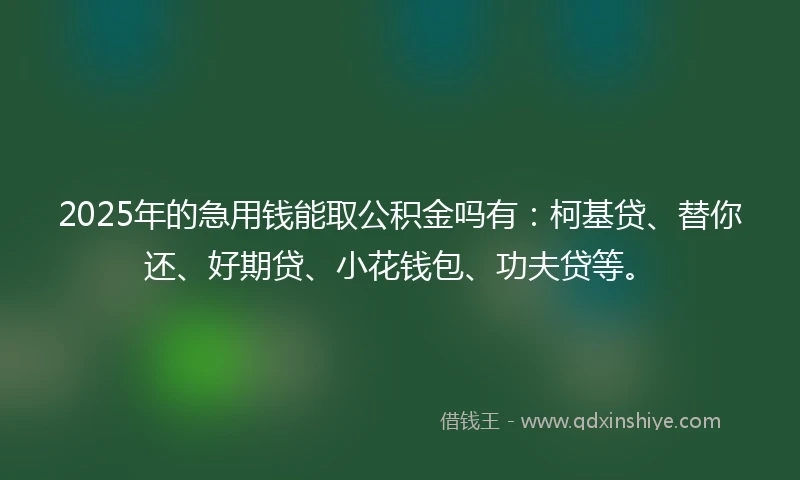 2025年的急用钱能取公积金吗有：柯基贷、替你还、好期贷、小花钱包、功夫贷等。