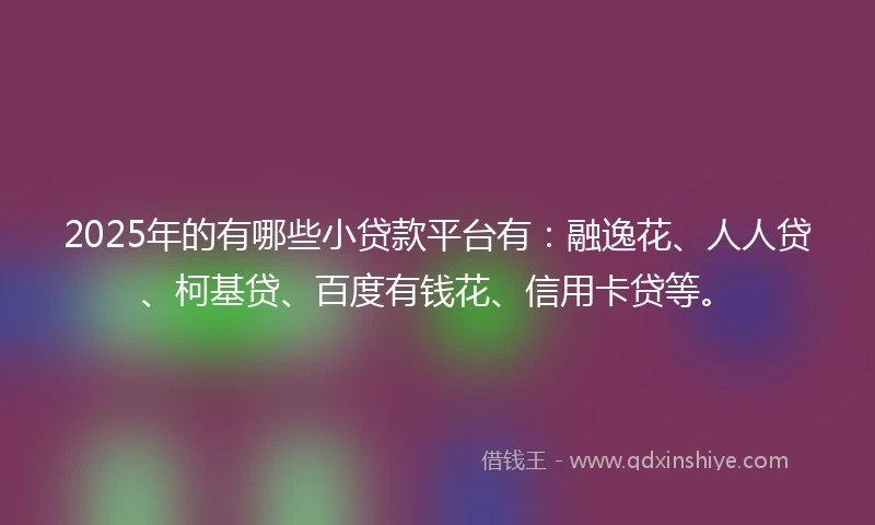 2025年的有哪些小贷款平台有：融逸花、人人贷、柯基贷、百度有钱花、信用卡贷等。