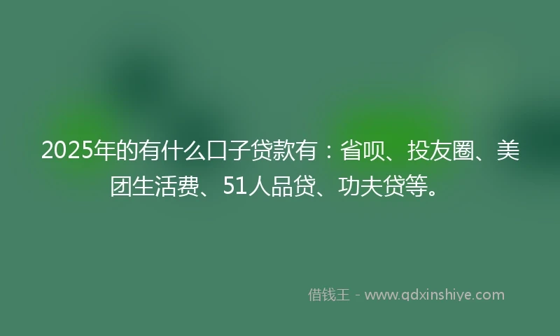 2025年的有什么口子贷款有：省呗、投友圈、美团生活费、51人品贷、功夫贷等。
