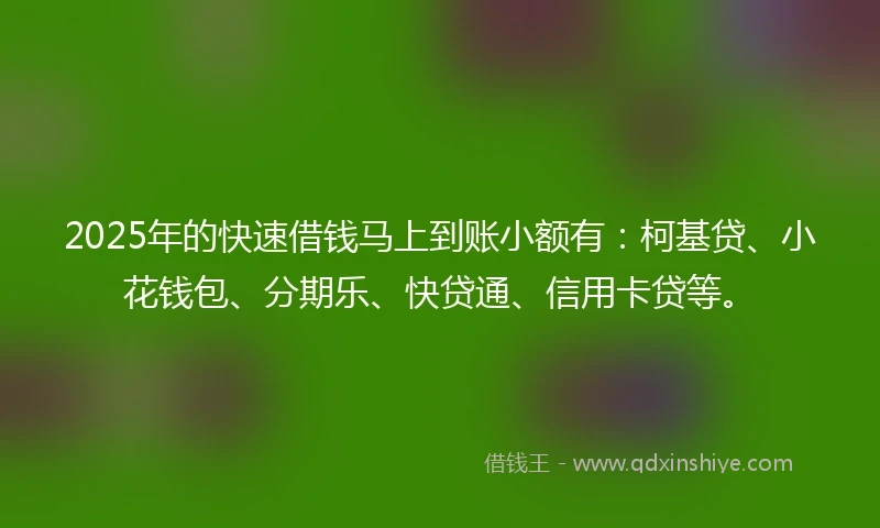 2025年的快速借钱马上到账小额有：柯基贷、小花钱包、分期乐、快贷通、信用卡贷等。