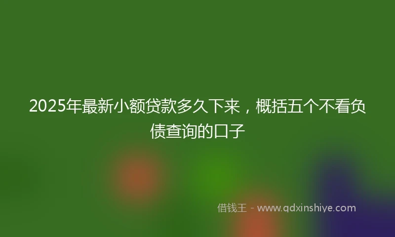 2025年最新小额贷款多久下来，概括五个不看负债查询的口子