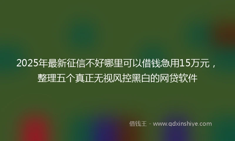 2025年最新征信不好哪里可以借钱急用15万元,整理五个真正无视风控黑白的网贷软件