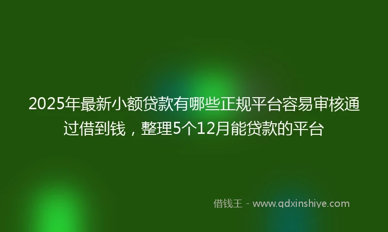 2025年最新小额贷款有哪些正规平台容易审核通过借到钱，整理5个12月能贷款的平台