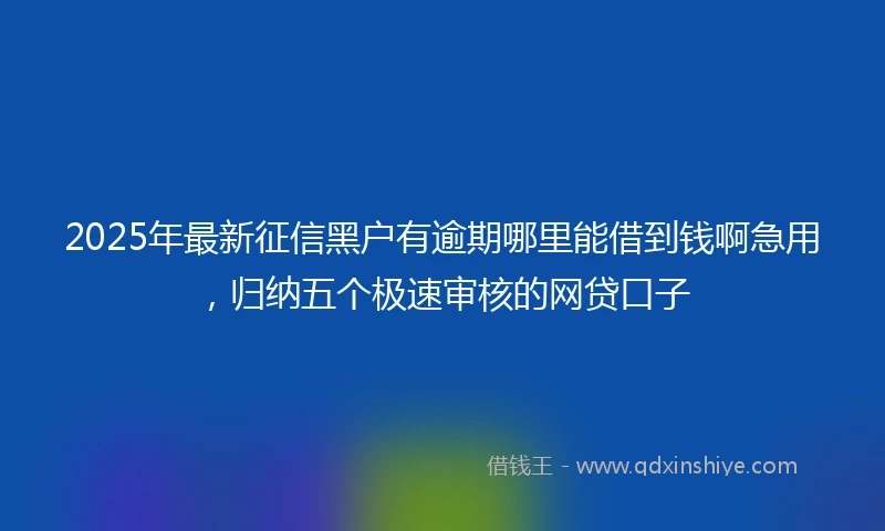 2025年最新征信黑户有逾期哪里能借到钱啊急用，归纳五个极速审核的网贷口子