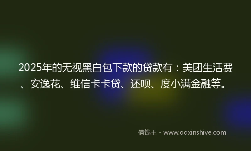 2025年的无视黑白包下款的贷款有：美团生活费、安逸花、维信卡卡贷、还呗、度小满金融等。