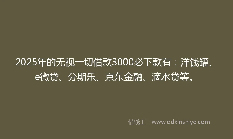 2025年的无视一切借款3000必下款有：洋钱罐、e微贷、分期乐、京东金融、滴水贷等。