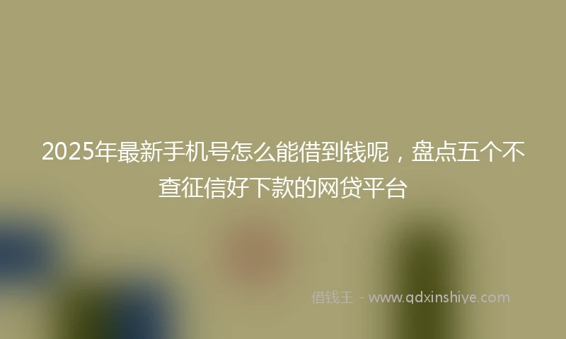 2025年最新手机号怎么能借到钱呢，盘点五个不查征信好下款的网贷平台