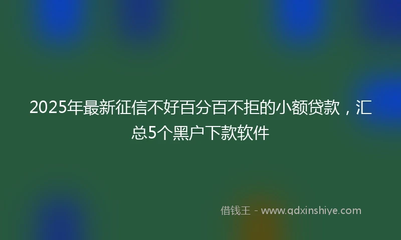 2025年最新征信不好百分百不拒的小额贷款,汇总5个黑户下款软件