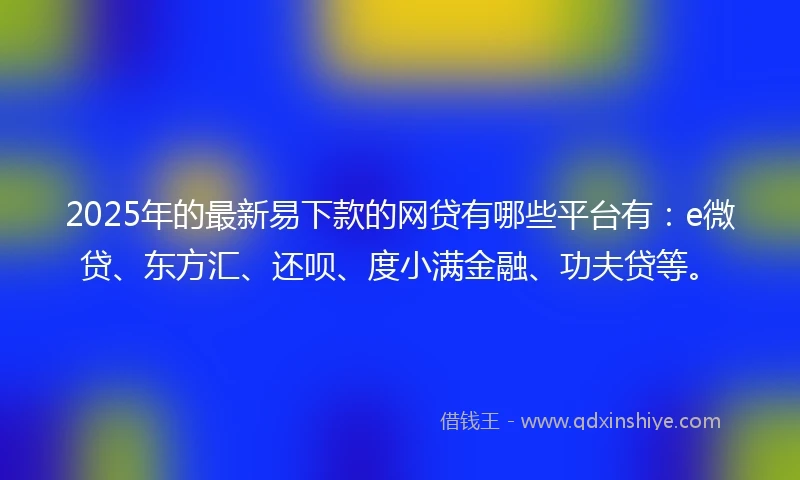 2025年的最新易下款的网贷有哪些平台有：e微贷、东方汇、还呗、度小满金融、功夫贷等。