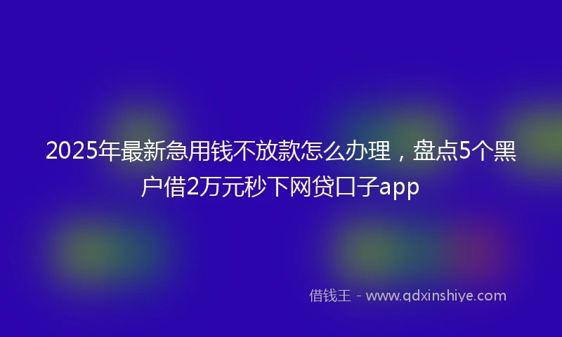 2025年最新急用钱不放款怎么办理，盘点5个黑户借2万元秒下网贷口子app