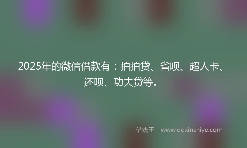 2025年的微信借款有：拍拍贷、省呗、超人卡、还呗、功夫贷等。