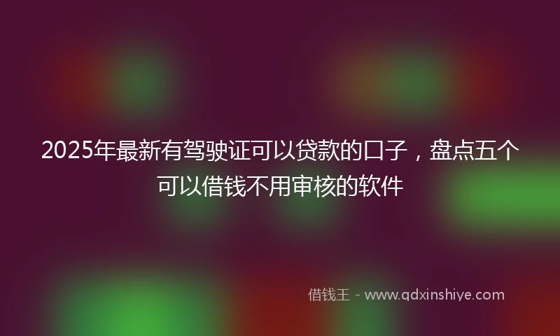 2025年最新有驾驶证可以贷款的口子，盘点五个可以借钱不用审核的软件